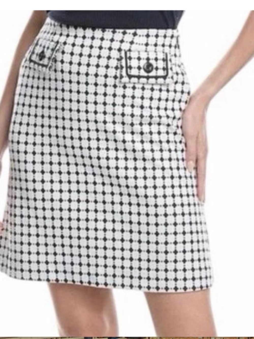 Cabi Teatime Skirt